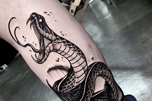 Procreate Snake Stencil Tattoo