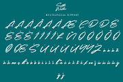Seattle Weather - Bold Signature, a Script Font by Arendxstudio (Thumbnail 8 of 8)