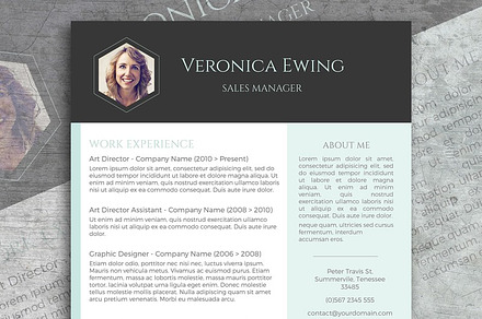 Honeycomb CV + Free Cover Letter