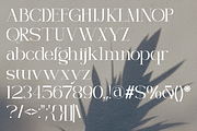 Morvielle — Modern Editorial Serif, a Serif Font by Muksal Creative (Thumbnail 10 of 11)