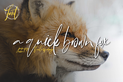 Bonyca - Modern Script, a Script Font by Inspiratype (Thumbnail 3 of 5)