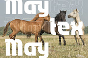 Maytex Modern Futuristic Sans, a Sans Serif Font by timelesstype.co (Thumbnail 12 of 20)