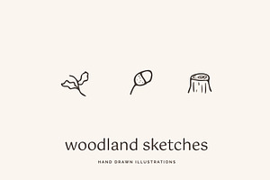 Woodland Icons Illustrations Forest