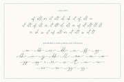 White Camellia Script Font, a Script Font by Seagulls Creative (Thumbnail 12 of 12)