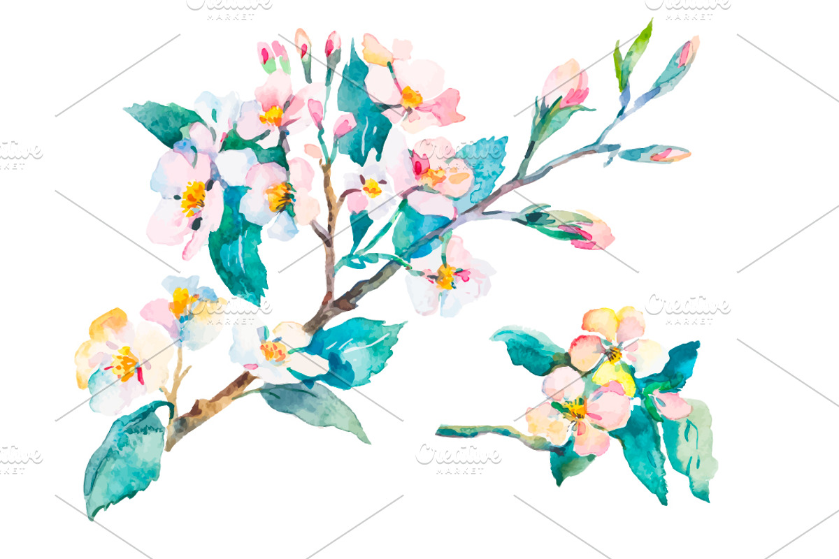 Watercolor Sphynx Cats Set, an Illustration by Elizaveta (Photo 5 of 5)