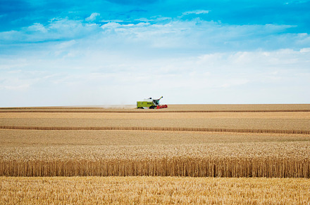 Combine Harvester, an Industrial Photo by Neo Ink Design