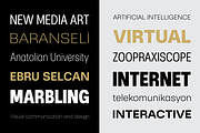 Ebru Sans Font Family, a Sans Serif Font by Ahmet Altun (Thumbnail 2 of 7)