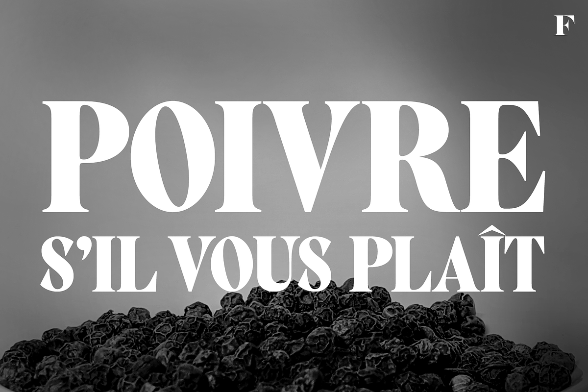 Alto Adige Serif Typeface, a Serif Font by Fenotype (Photo 9 of 14)