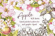 Apple Graphic & Watercolor clipart, a Healthcare Illustration by Ann Astro (Thumbnail 1 of 5)