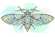 Ethnic Collection: Moth, an Animal Illustration by ArtoJoy (Thumbnail 2 of 4)