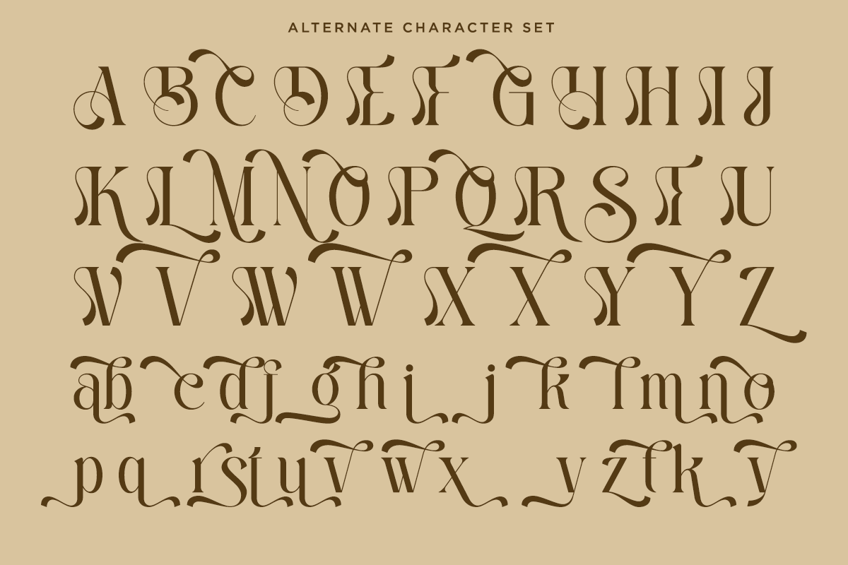 Harmony Dream - Decorative Serif, a Serif Font by Say Studio (Photo 9 of 11)