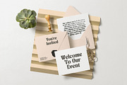 CS Alston – Bold Font, a Serif Font by Craft Supply Co. (Thumbnail 7 of 8)