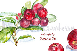 Watercolor Cranberry