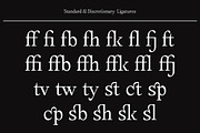 Amnesist | 12 Fonts, a Serif Font by Skinny Type (Thumbnail 12 of 12)
