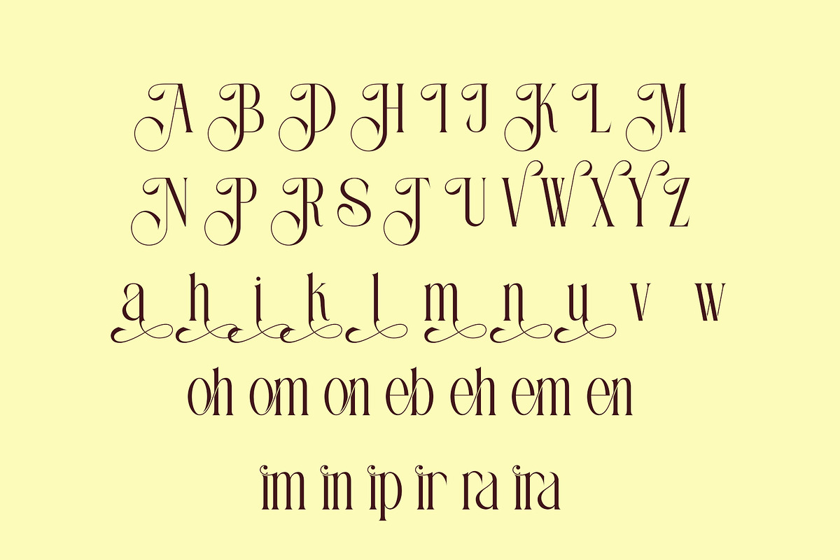 Nirain - Modern & Classy Serif, a Serif Font by AnnofaType (Photo 7 of 8)