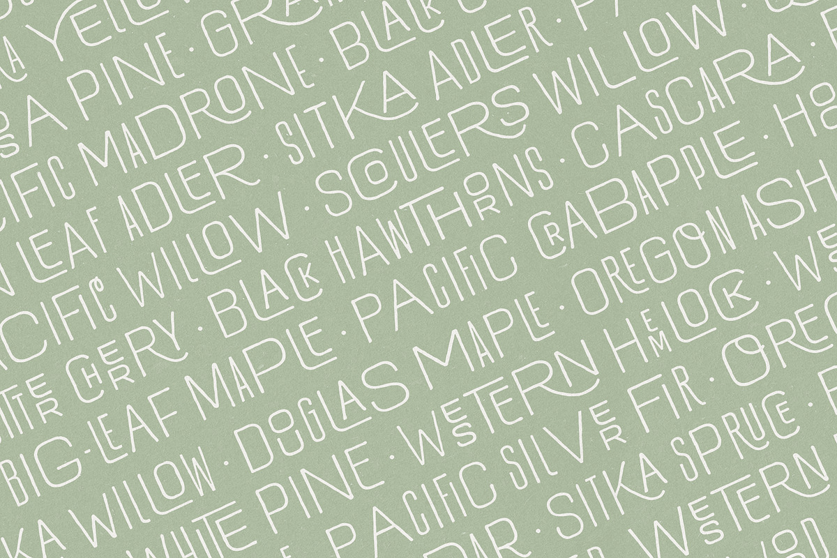Hawkes Handmade Collection, a Sans Serif Font by Kimmy Design (Photo 11 of 22)