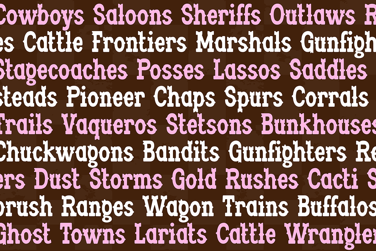 RODEO SPURS Fancy Cute Western Font, a Serif Font by Blush Font Co. (Photo 2 of 5)