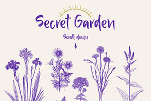 Secret Garden. Ultraviolet