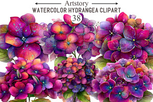 Watercolor Hydrangea Clipart, an Illustration by designcity5