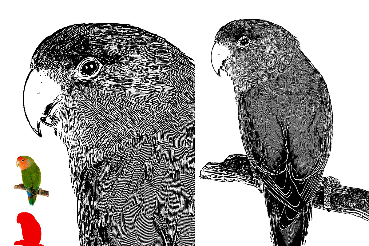 Vector Tracing Photoshop Action, an Action Add-On by MRI STUDIO (Photo 6 of 21)