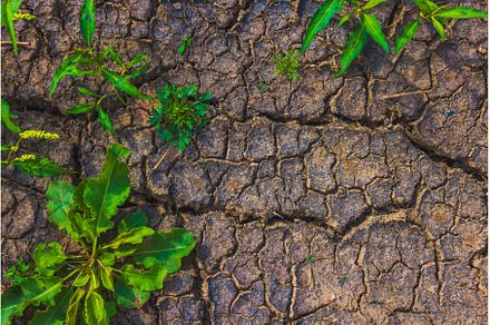 Cracked earth, metaphoric for, an Abstract Photo by Lukas Jonaitis SHOP