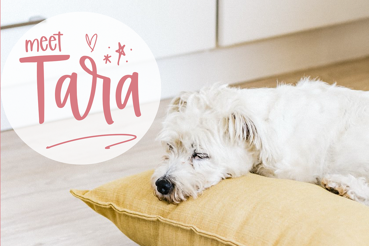 Stardom | Handwritten Font preview 3