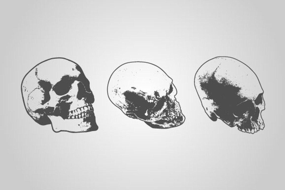 Skull Designs (Vector) preview 3