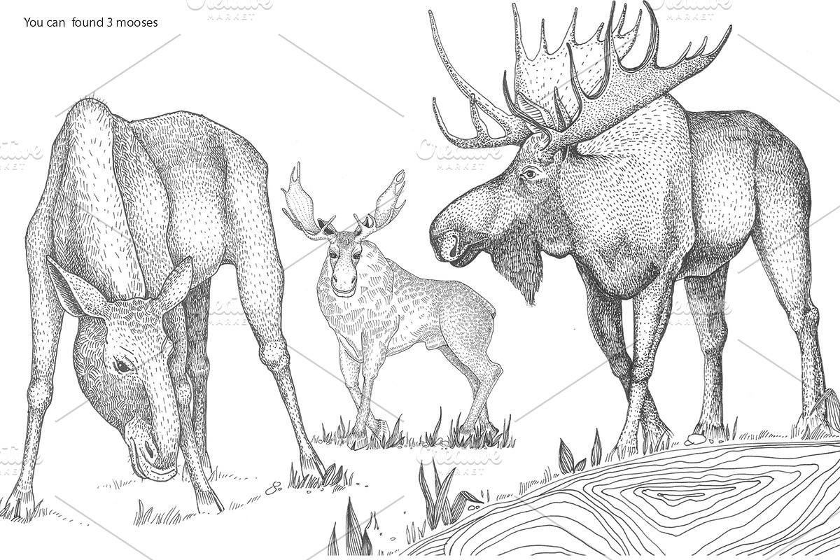 My Forest, an Animal Illustration by YuliaBiser (Photo 4 of 5)