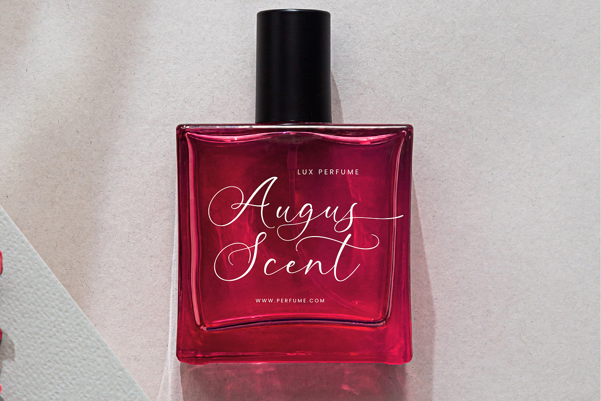 Aurating Martey Stylish Calligraphy, a Script Font by stylishtype.co (Photo 9 of 20)