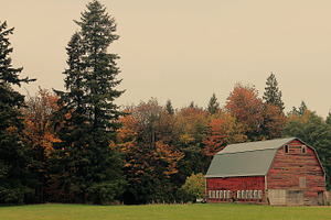 A Barn in the Fall