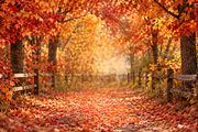 Fall Family Digital Backdrop, a Layer Style Add-On by Wild Honey Design Co. (Thumbnail 2 of 2)