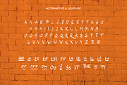 The Wolfflin // Handwritten Font, a Script Font by Letterature Std. (Thumbnail 7 of 11)