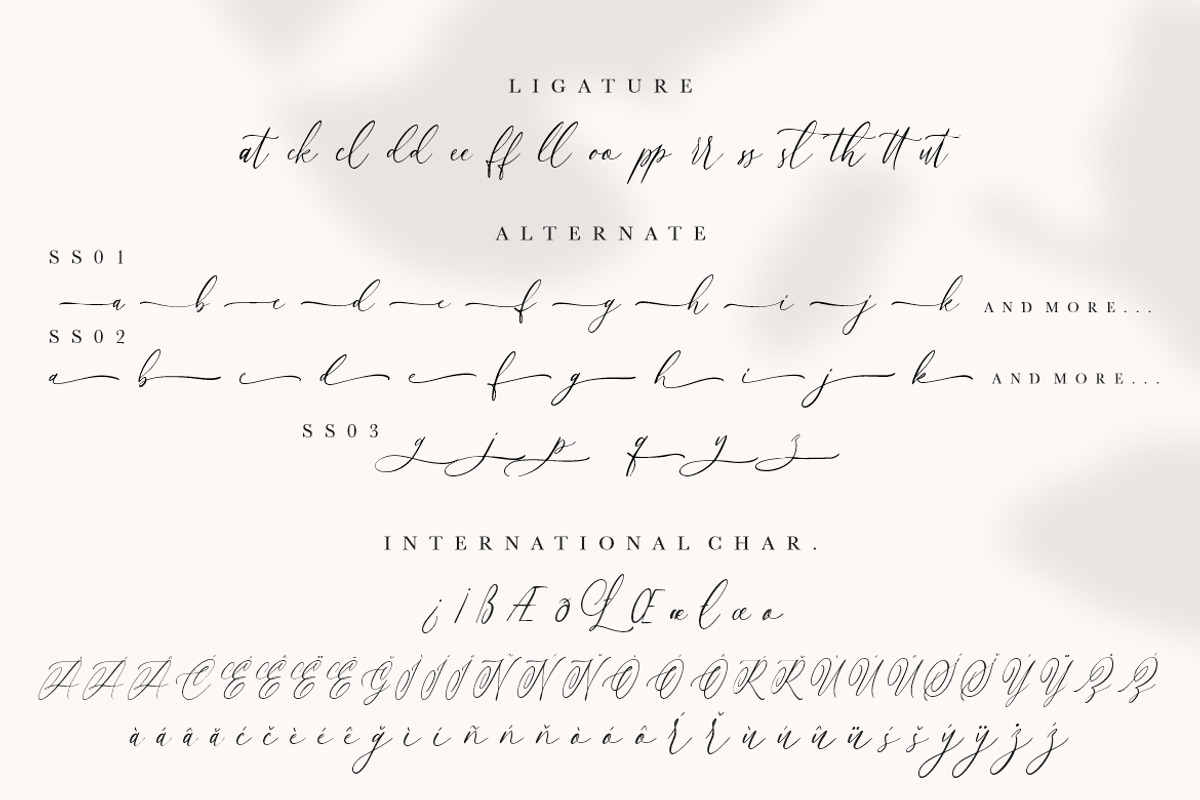 Anttelope Luxury Calligraphy, a Script Font by Creatype Studio (Photo 9 of 9)