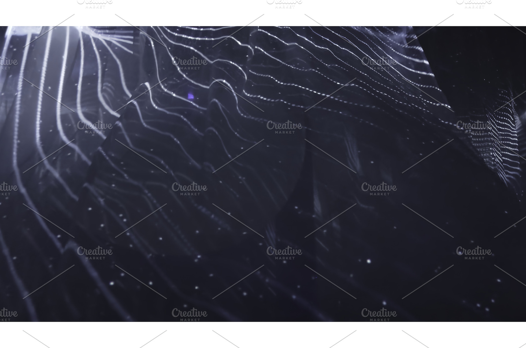 Abstract wavy surface gently moving, an Abstract Photo by Media Whale Stock