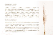 Kartikana Serif, a Serif Font by Ardyanatypes (Thumbnail 10 of 12)