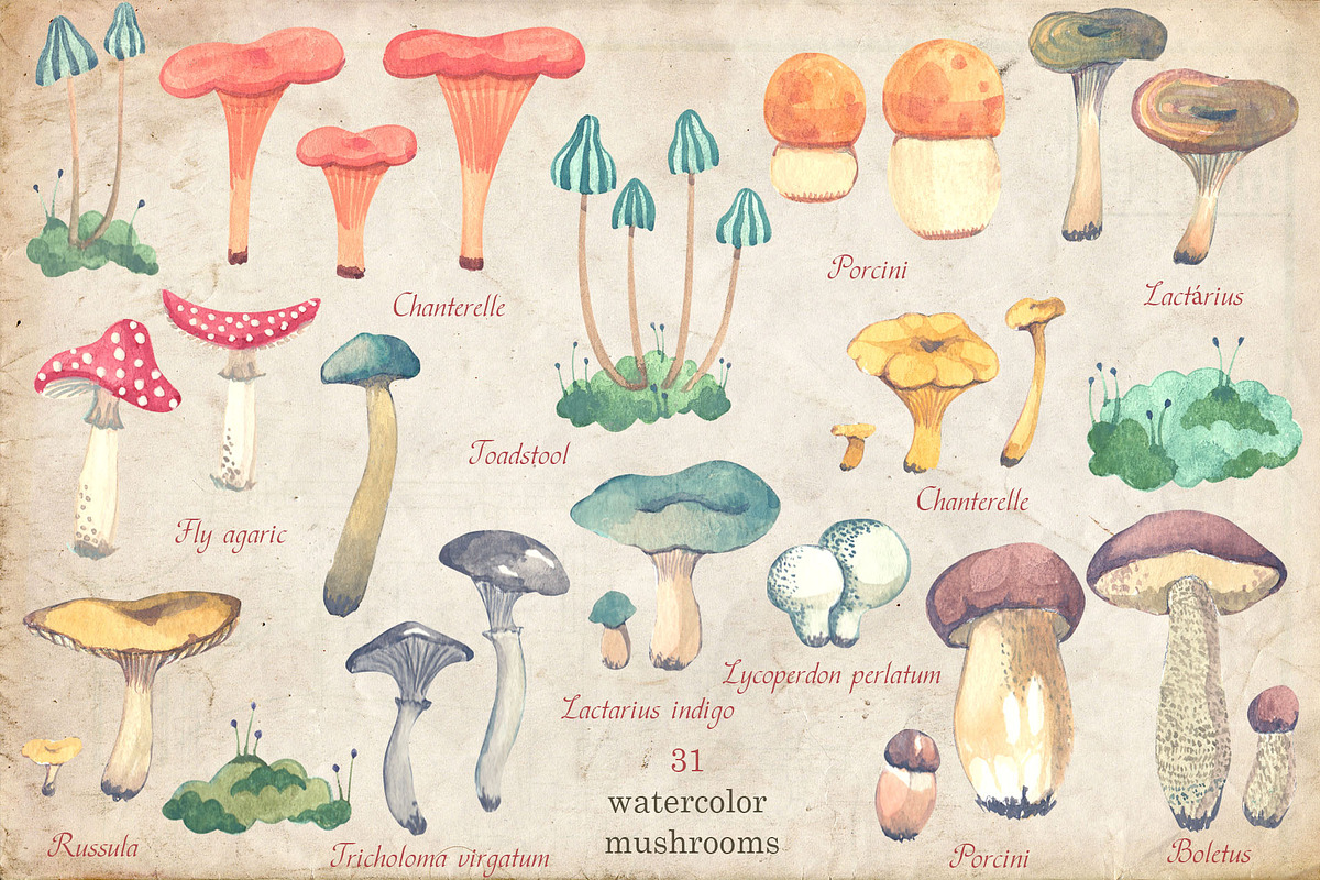 Watercolor Bundle + Font, a Seasonal Illustration by Flo Sacred Art (Photo 15 of 25)