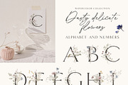 Dusty delicate floral clipart, a Decorative Illustration by long summer (Thumbnail 8 of 12)