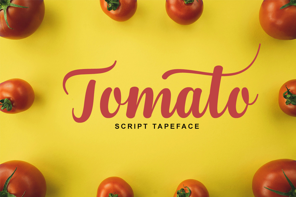 Kaydon, a Script Font by Gatype (Photo 6 of 10)