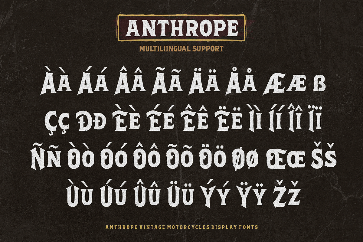 Anthrope, a Serif Font by ilhamtaro (Photo 9 of 10)