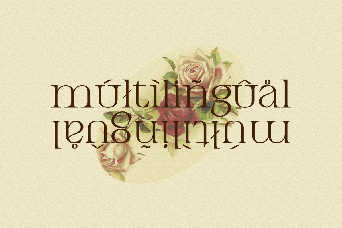 Armeston - Modern Serif, a Serif Font by tebaltipislab (Photo 9 of 15)