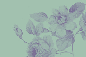 Vintage Floral Photoshop Brush Set