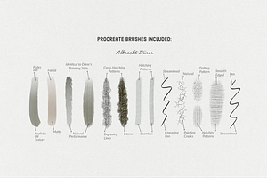 Albrecht Drer Procreate Brushes