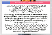 Beach Vista Handwritten Script, a Script Font by stylishtype.co (Thumbnail 10 of 10)