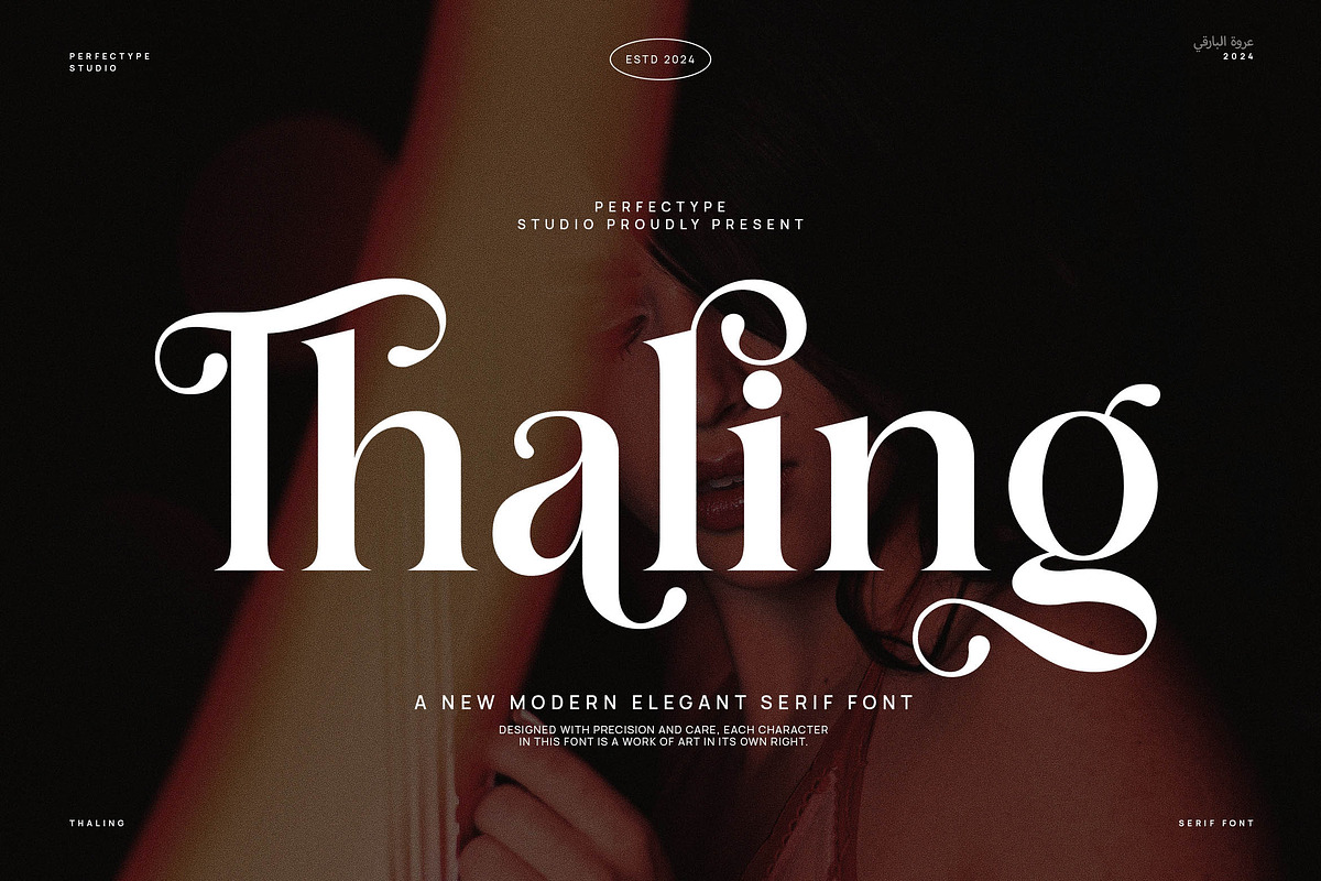 Thaling Modern Serif Font, a Serif Font by Perfectype (Photo 1 of 8)