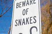 Warning sign about snake danger near Lake Colac, Victoria, Austr, an Animal Photo by GoodGoods (Thumbnail 1 of 2)