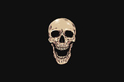 Skull Hand Drawn Illustration, an Object Illustration by zdson (Thumbnail 3 of 3)