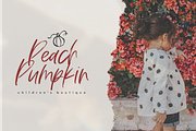 Fall Harvest - Font with Extras, a Handwritten Font by KA Designs (Thumbnail 9 of 15)