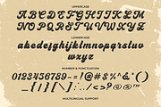 Fradle Script - Retro Bold Fonts, a Script Font by Namara Creative Studio (Thumbnail 8 of 13)