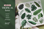 Tropical leaves collection, a Decorative Illustration by Fave Brush (Thumbnail 1 of 2)