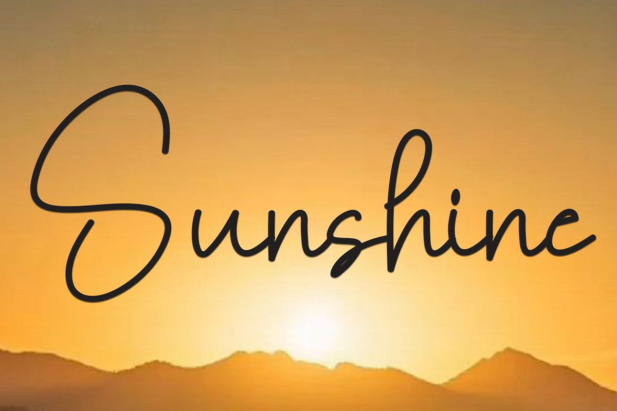 Collection Signature, a Handwritten Font by FreshTypeINK (Photo 3 of 8)